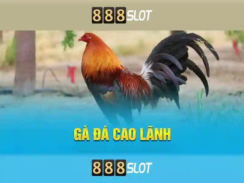 slot trực tuyến - 888slot