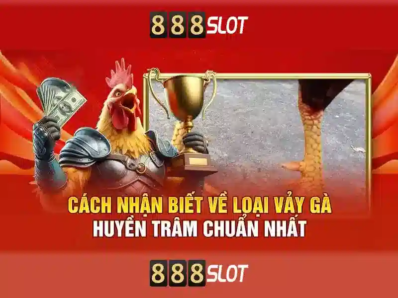 💎tỷ lệ kèo nhà cái chính xác💎