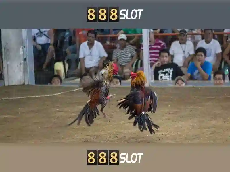 💎popeye cazatesoros slot💎