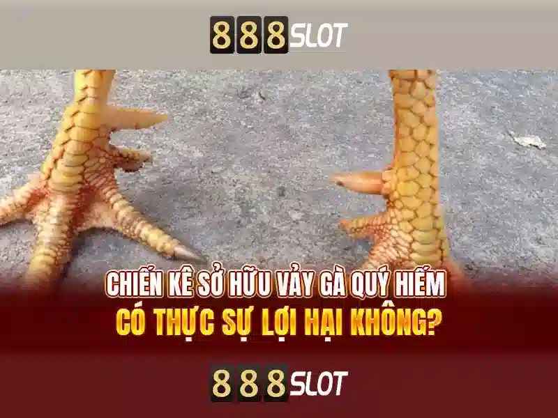 💎fun88 nhà cái ở đâu💎