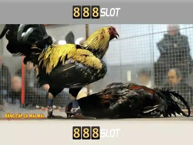 Giới Thiệu 888SLOT - Sự Lựa Chọn Hàng Đầu 2026 Cho Dân Chơi - 888slot