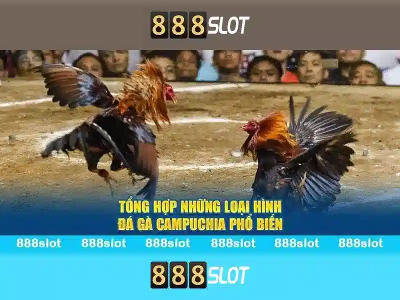 💎keo nha cai viet nam indonesia💎