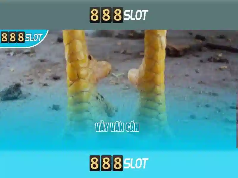 💎nhà cái mới nhacaimoi365.com💎